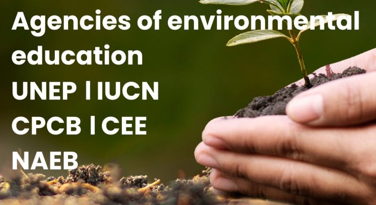 Agencies of environmental education